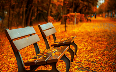 3 Steps to Remaining Productive, while Transitioning to Autumn