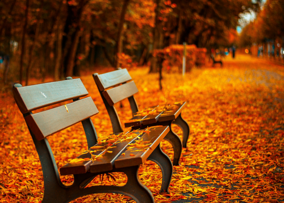 3 Steps to Remaining Productive, while Transitioning to Autumn